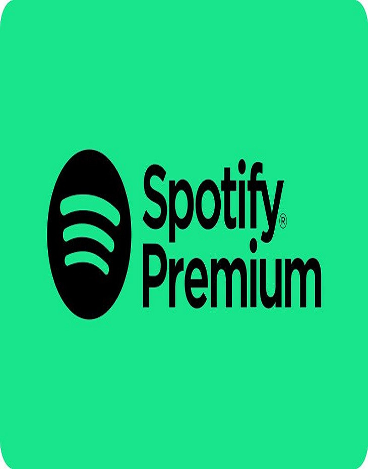 SPOTIFY 1 MES  1 DISPOSITIVO